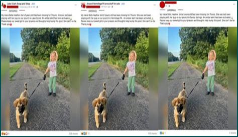 The Bella Heather Missing Scam Exposed!